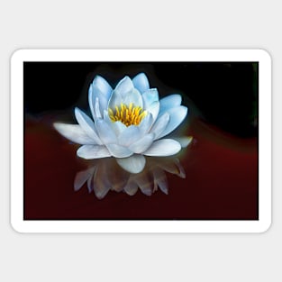 Water Lilly Meditation Sticker